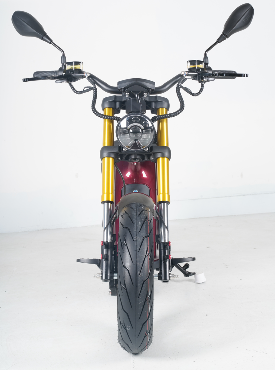 E-Chopper M8 Custom Edition