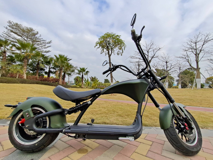 E-Chopper M1P