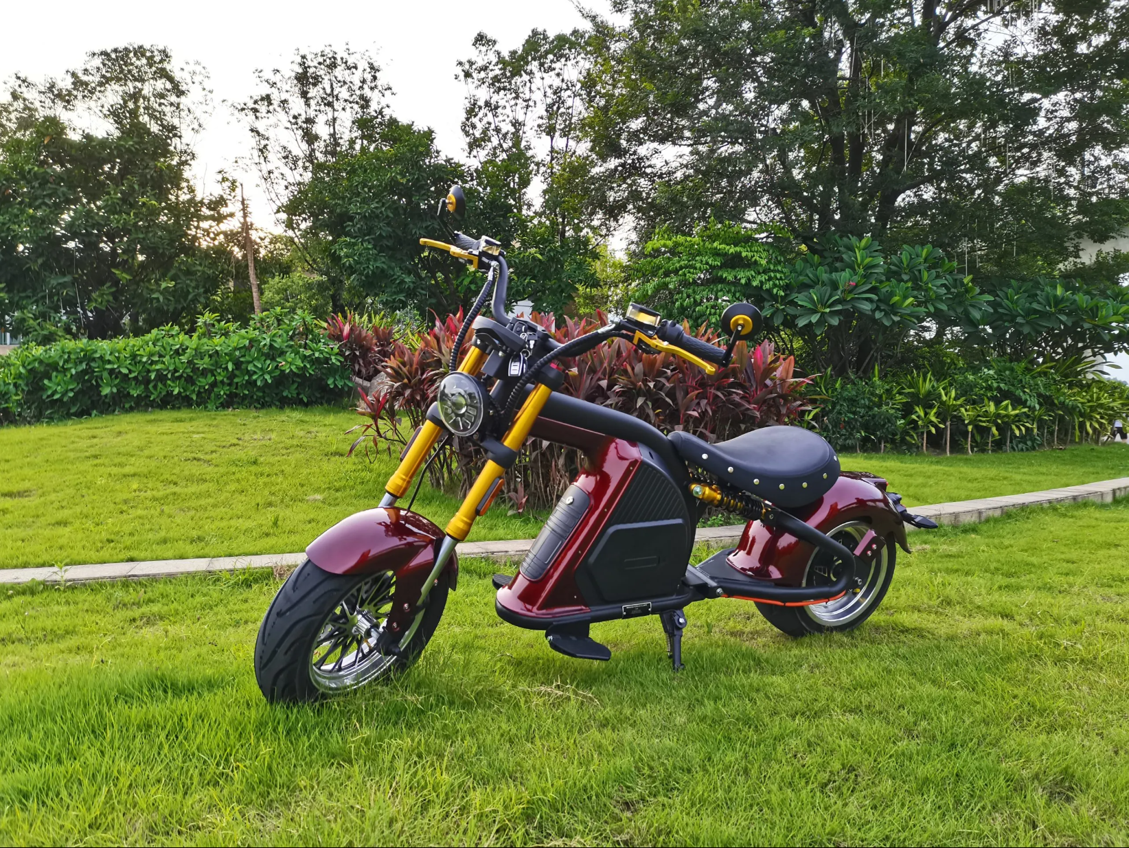 E-Chopper M8 Custom Edition