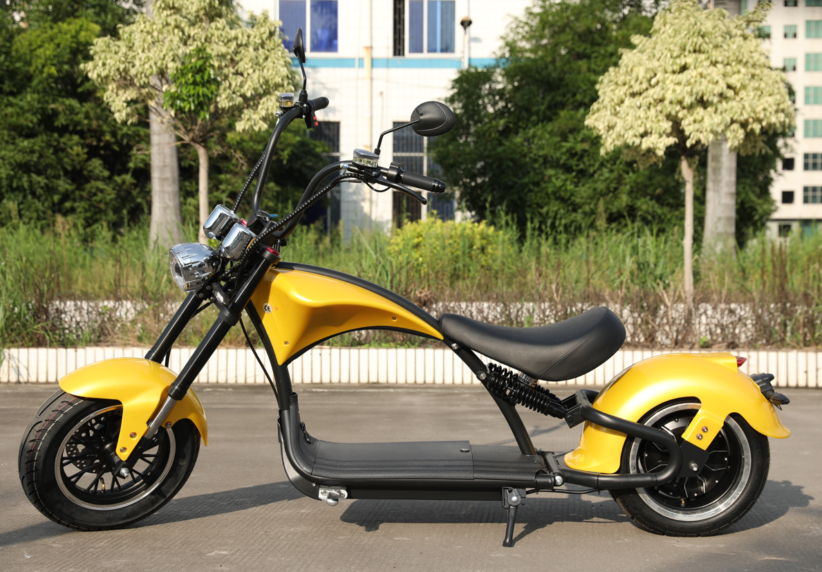 E-Chopper M1P