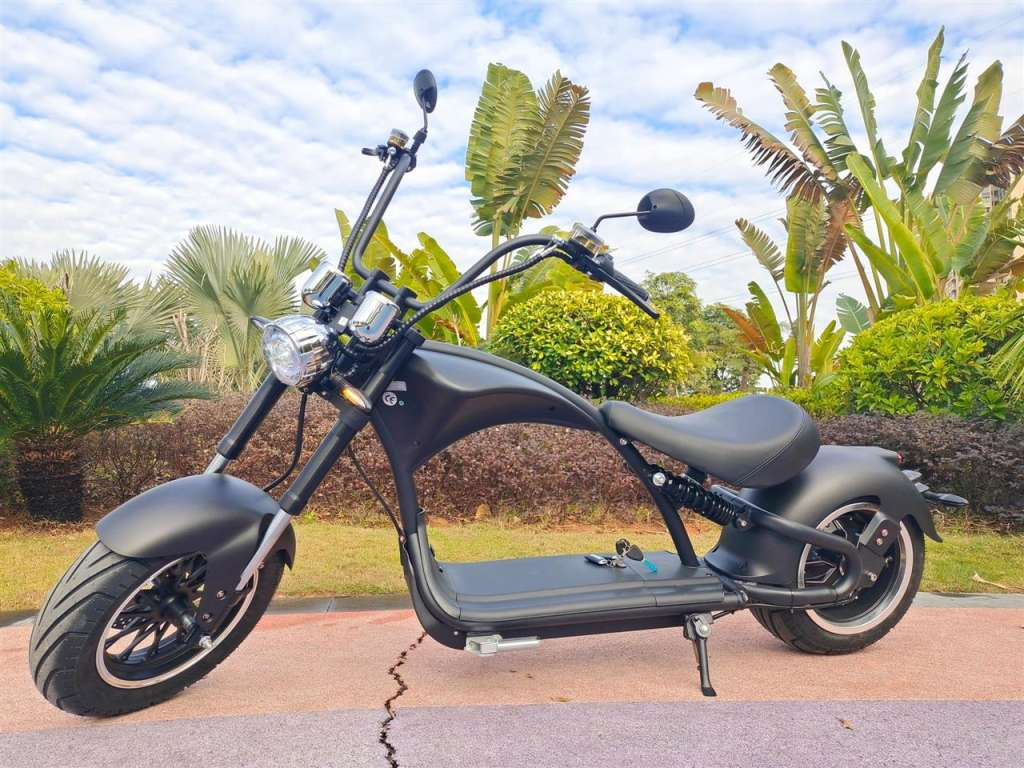 E-Chopper M1P
