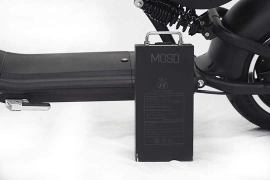 E-Chopper M1P
