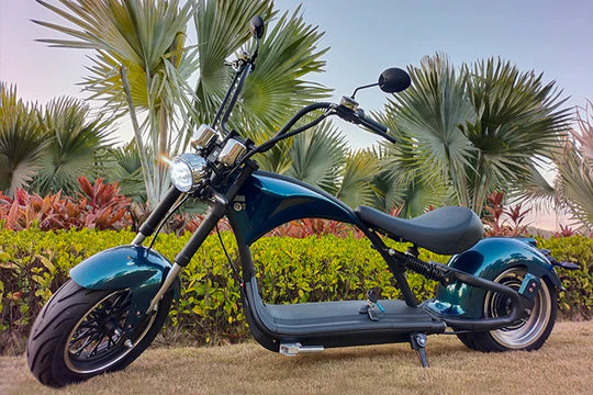 E-Chopper M1P